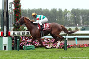Neorealism lands the G2 Sapporo Kinen in style last year.