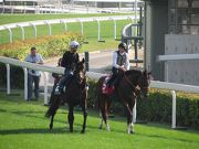 Joao Moreira, (white cap) on Satono Crown, chats with Ryan Moore, aboard Maurice, at Sha Tin in December, 2016.