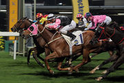 Golden Sleep (red cap) bursts through to hold off Magical Beauty in a tight photo finish.