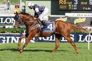 The United States contested the Queen Elizabeth Stakes at Randwick last start.