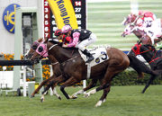 Beauty Generation (No. 3) gets the better of Eagle Way to win a Class Two event over 2200m at Sha Tin last start.