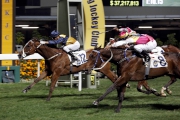 Sea Jade (No. 12) and Blocker Dee dead heat for the win in the Class 1 Happy Valley Trophy (1200m) in February.