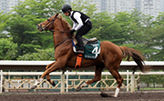 Neorealism exercises on the all-weather track at Sha Tin this morning.