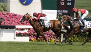 1, 2, 3<br>John Moore-trained Eagle Way (No. 3), with Joao Moreira on board, wins the G3 Queen Mother Memorial Cup (2400m) at Sha Tin Racecourse today.