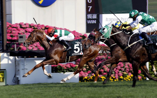 Neorealism with Joao Moreira in the saddle claims the Audemars Piguet QEII Cup (Group 1-2000M).