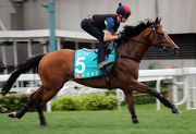 Helene Paragon works over 1200m on the turf track today.