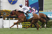 Photos 1, 2, 3: Contentment (No. 3), trained by John Size and ridden by Brett Prebble, wins the Group 1 Champions Mile at Sha Tin Racecourse today. Beauty Only and Helene Paragon finish second and third respectively in this HK$16 million event.