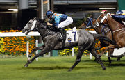 Super Turbo, ridden by Joao Moreira, wins the France Galop Cup for trainer David Hall.