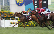 Mr Stunning (No. 2) closes in for second behind Lucky Bubbles in the G1 Chairman��s Sprint Prize at Sha Tin on 7 May.