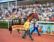 Able Friend parades for the last time at Sha Tin Racecourse in front of his faithful fans.