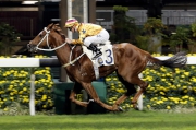 Winner��s Way makes all under Zac Purton in a Class 2 1650m handicap at Happy Valley.