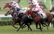 California Whip (rail side, in blue) suffers a narrow defeat to Midnight Rattler (in white), with Lucky Year (in pink) third, in a Class 1 1400m handicap at Sha Tin last month.