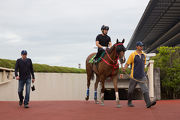 John Size with Contentment at Tokyo racecourse.