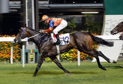Best Step lands back-to-back victories over 1200m at Happy Valley last start.