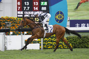 Little Giant scores a comfortable win at his Hong Kong debut last month.