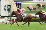 Starship, trained by Paul O��Sullivan and ridden by Zac Purton, was one of four winners for both handler and jockey, taking the Class 4 Sha Tin Clubhouse Handicap (1200m).