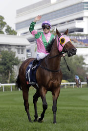 Zac Purton salutes the crowd after partnering Aerovelocity to a second Hong Kong Sprint success in December.