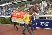 Designs On Rome parades for the last time at Sha Tin Racecourse in front of his faithful fans.