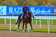Classic Emperor completed his Monday trackwork at Meydan.