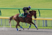 Western Express continues his preparations for the Yasuda Kinen.