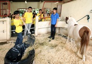 The CARE-initiated youth workshop gives teenagers a chance to experience challenging physical work in the stables.