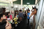 Photo 2, Photo 3: Visitors get the chance to visit the stables and feed room which are seldom open to the public, and watch horse care demonstrations by the farriers and grooms. 