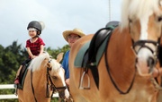 Children enjoy pony rides at the Open Day.
