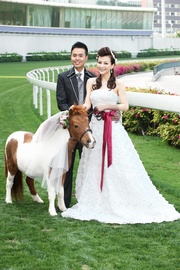 Couples hosting wedding banquets at the racecourses are eligible to reserve Shetland pony photo services for themselves and their guests.