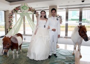 Marco Fu and Marie Zhuge pose for pictures with Shetland ponies at Happy Valley Racecourse.

