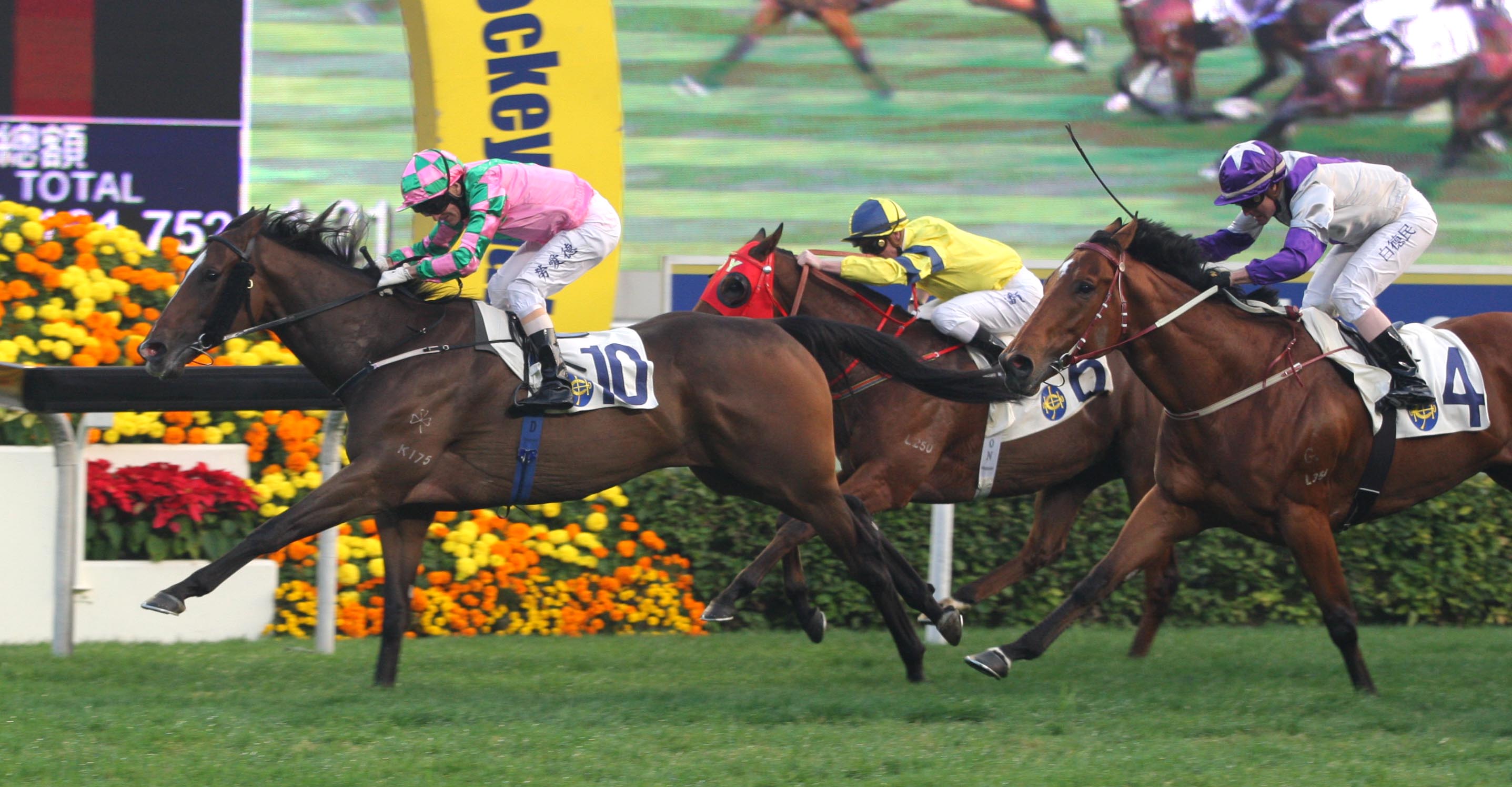 http://corporate.hkjc.com/news_image/chinese/images/2012-01/imgnews_32057_l.jpg