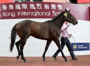 Photo 2, 3:<br><br /><br /> Lot 14 (Encosta De Lago – Sharp), bid by Jackie Wong See Sum, fetches HK$5 million, which is the highest price at today’s Hong Kong International Sale.