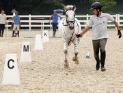 Photo 5, 6, 7, 8, 9: <br>
Visitors flock to the annual Tuen Mun Public Riding School Open Day, enjoying an array of equine-themed activities.