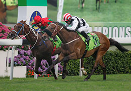Hong Kong runner Dan Excel (No. 3), trained by John Moore and ridden by Weichong Marwing, wins the Group 1 Champions Mile at Sha Tin Racecourse today.  Helene Spirit (No. 9, red cap), and Packing Whiz (No. 2, purple cap), finish second and third in this HK$12 million event.