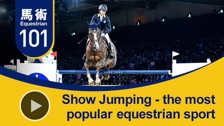 Show Jumping - the most popular equestrian sport