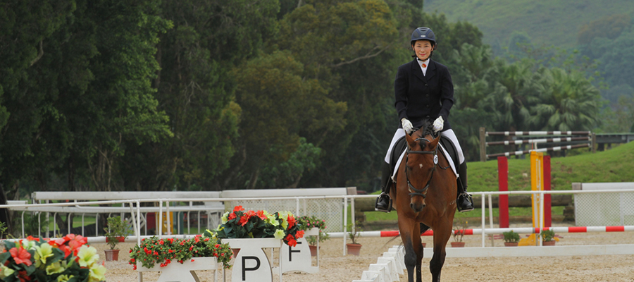 Retired Racehorse Retraining Programme