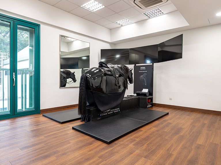 Horse Simulator Room