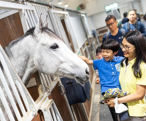 Stable Visit