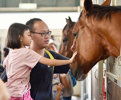 Horse Lesson Enrollment Form
