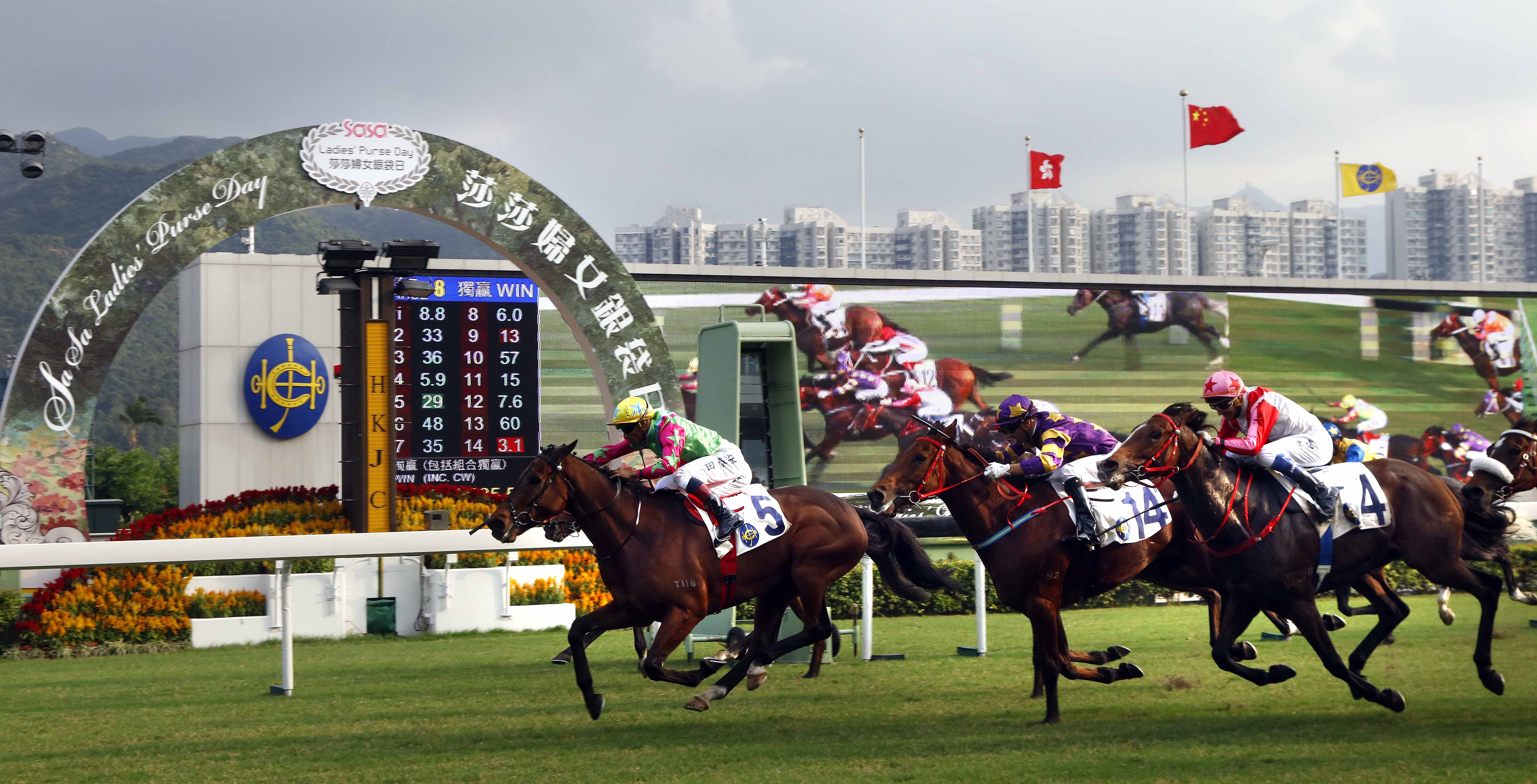 Hkjc horse race betting limited brands properties of ethers and alcohols