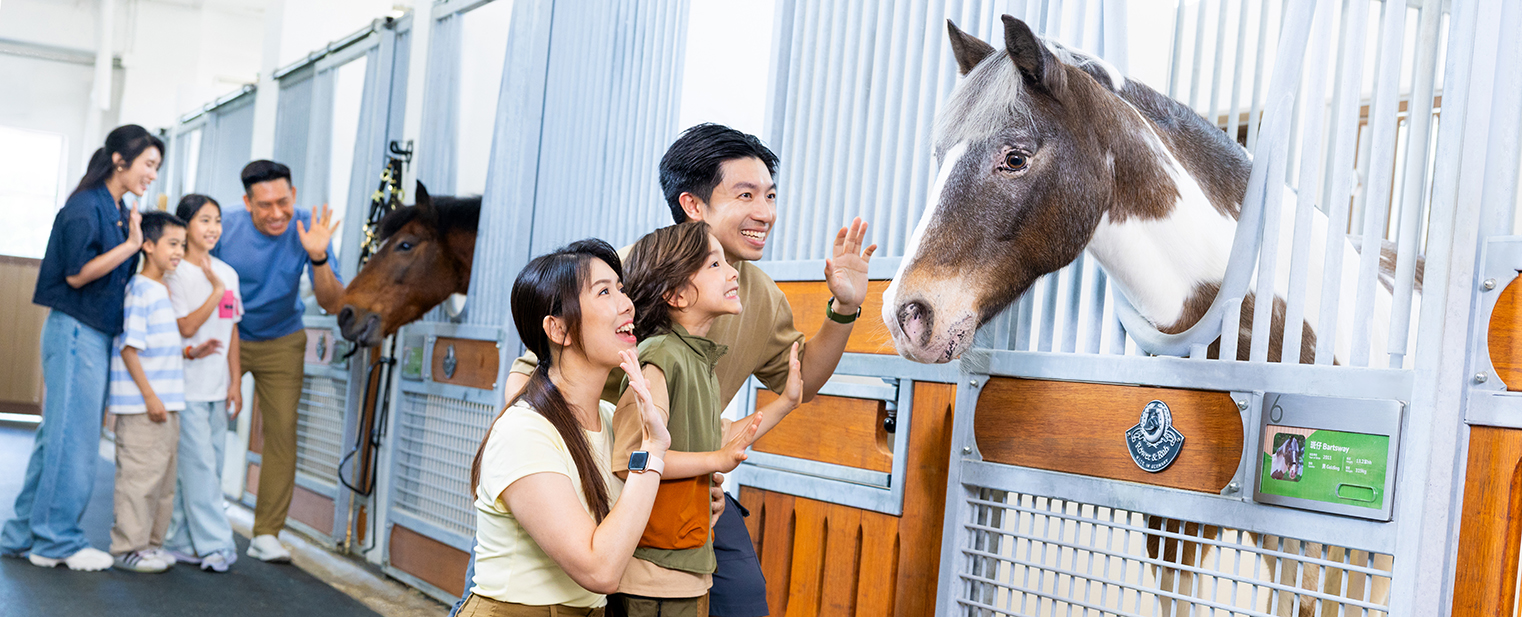 HKJC_260525_PonyWorld0963_1522x617