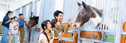 HKJC_260525_PonyWorld0963_1522x617