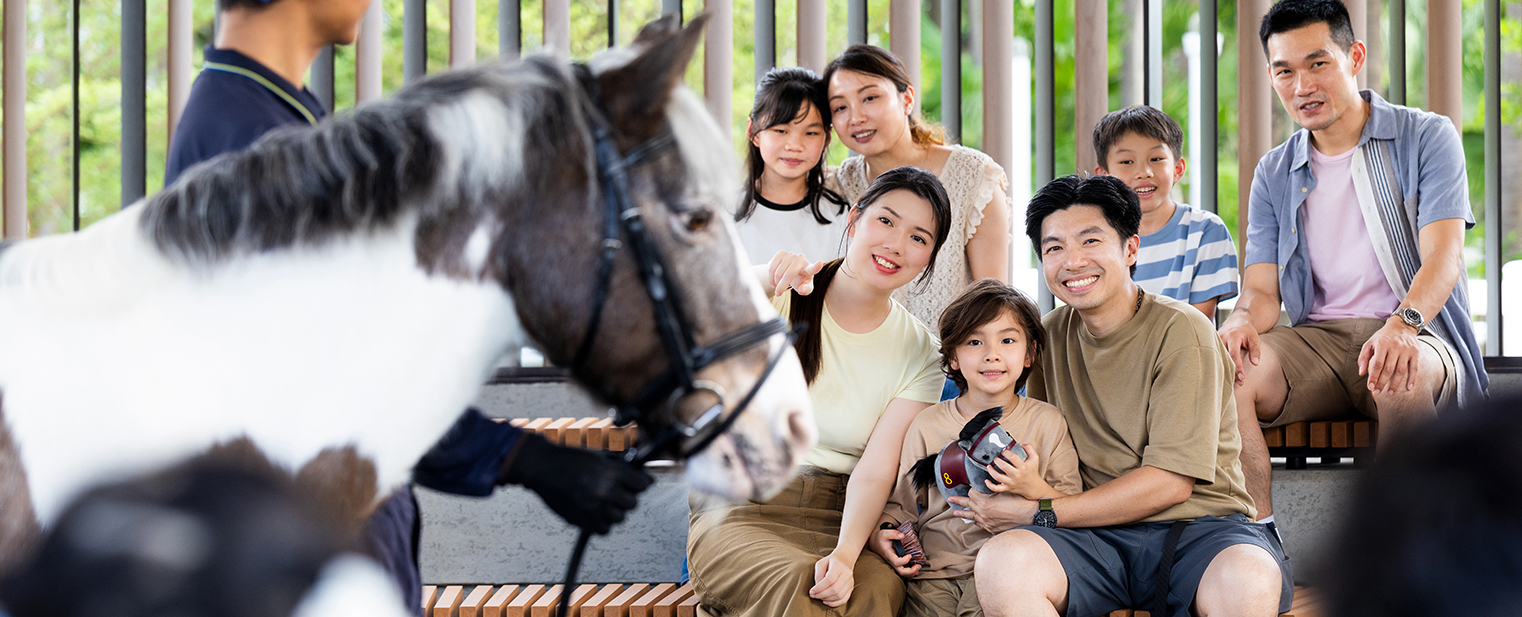 HKJC_260525_PonyWorld3168_1522x617