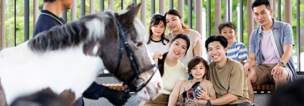 HKJC_260525_PonyWorld3168_1522x617