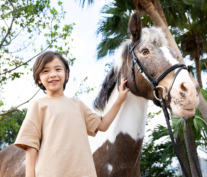 HKJC_260525_PonyWorld3652_350x300
